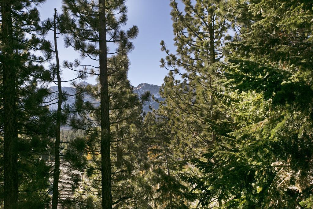 Mammoth Village Properties By 101 Great Escapes Маммот-Лейкс Номер фото